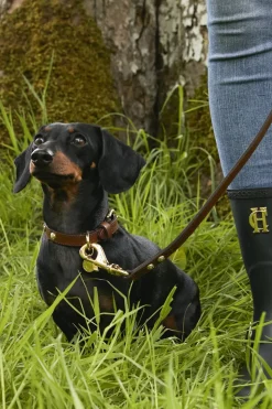 HC Slim Dog Lead