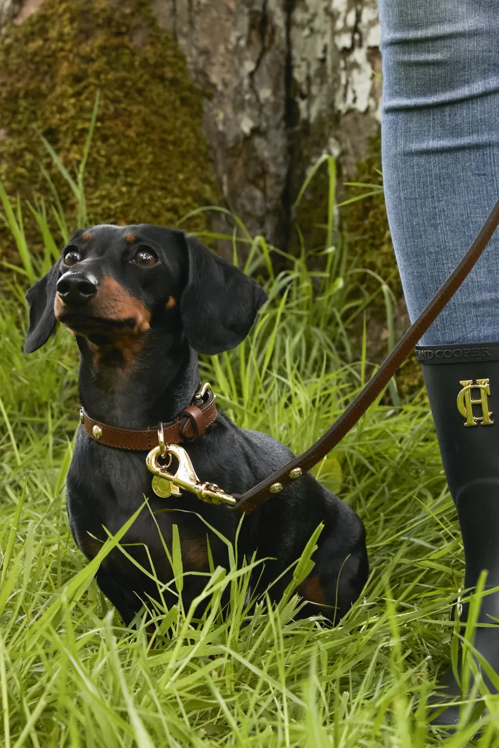 HC Slim Dog Lead