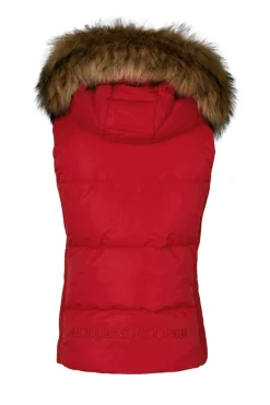 Team Gilet